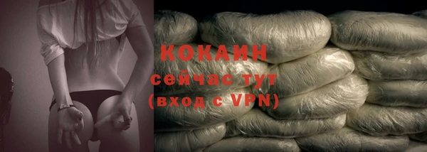 мдпв Анива