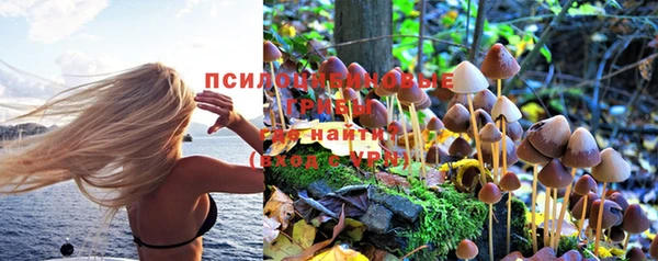spice Мегион