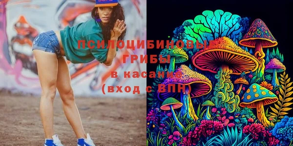 мдпв Медвежьегорск