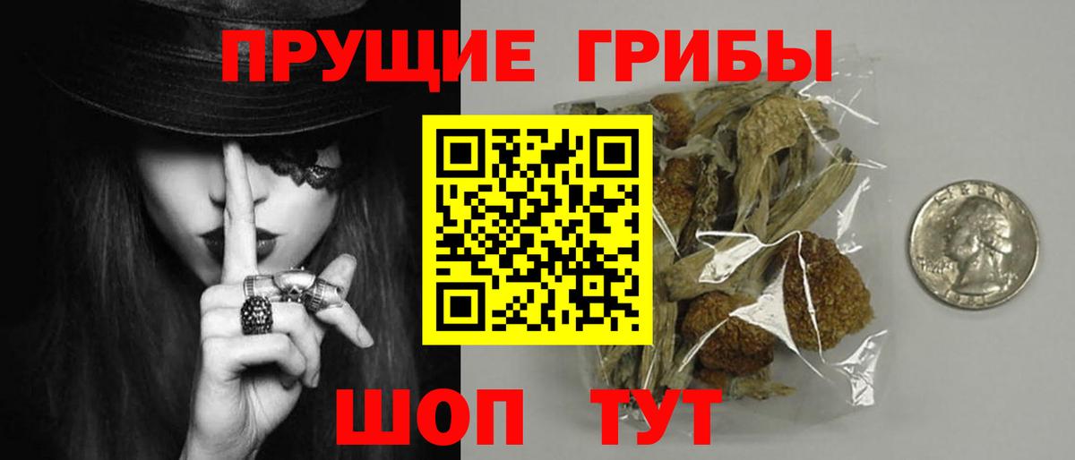 Галлюциногенные грибы MAGIC MUSHROOMS Надым